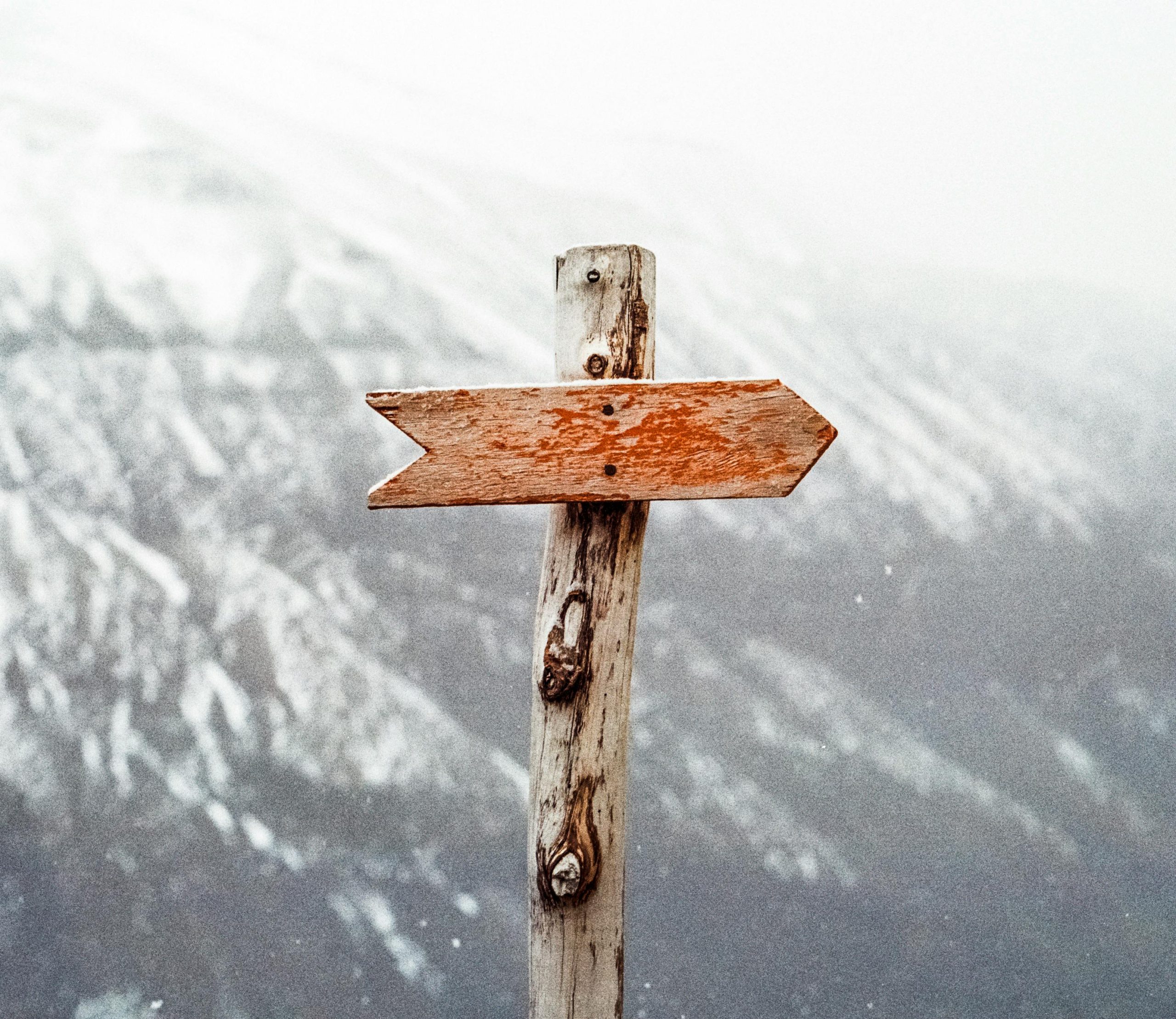 Follow this path to adventure